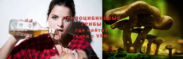 МДМА Алексеевка