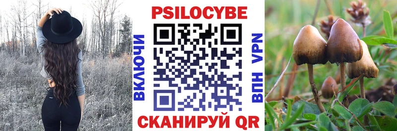 Псилоцибиновые грибы ЛСД  hydra ONION  Уяр  цены наркотик 